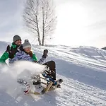 Hoffmann 3*