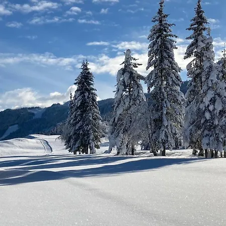 Hoffmann Vendégház Weissensee
