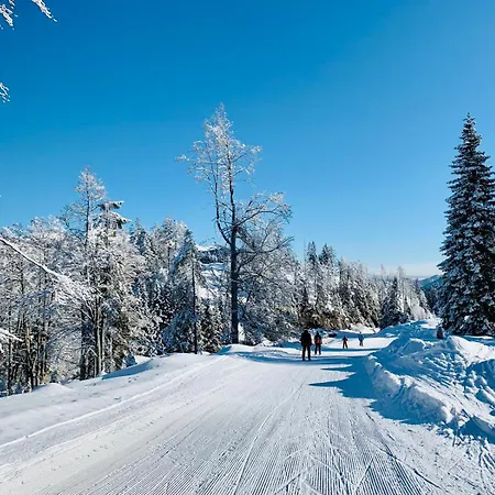 Hoffmann Weissensee