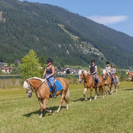 Hoffmann 3*