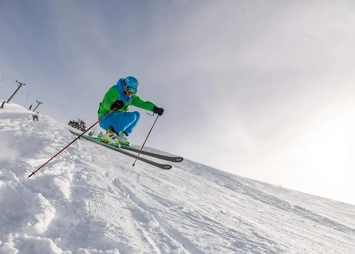 Hoffmann Guest house 3*